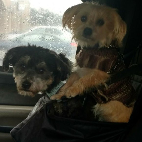 Meet Your Posher - - Picture 14 of 16